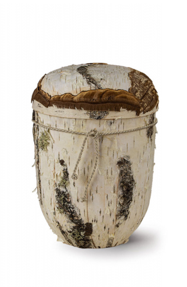 Bio Urne mit Baum-Optik