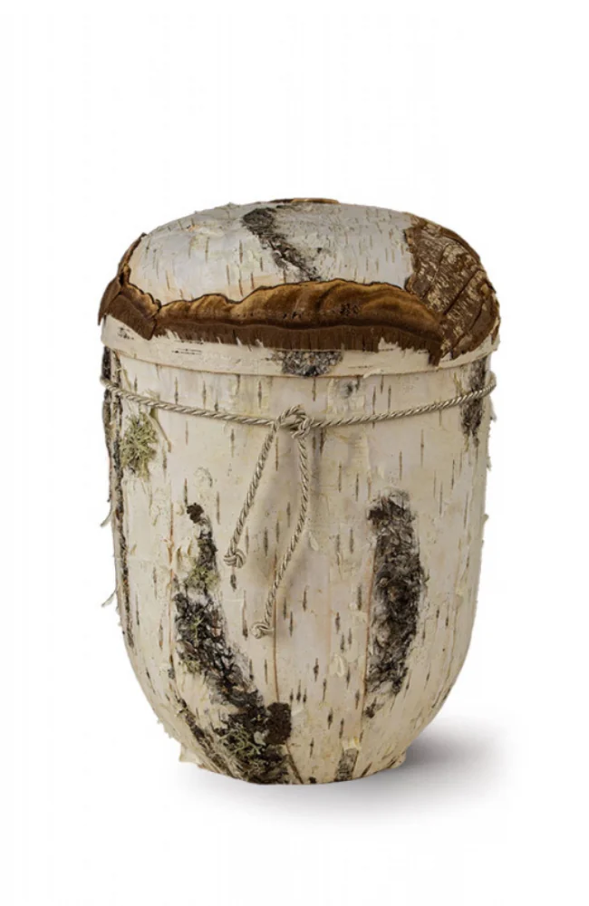 Bio Urne mit Baum-Optik