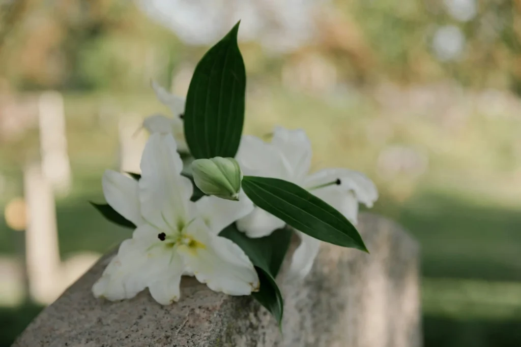 Weiße Lilien auf Grabstein auf einem Friedhof – Bestattung Poschner München
